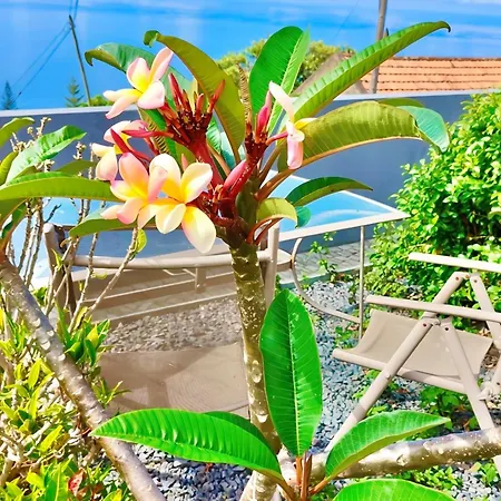 Апартаменты A Casa Valentina - Estudio Vista Panoramica O Mar *